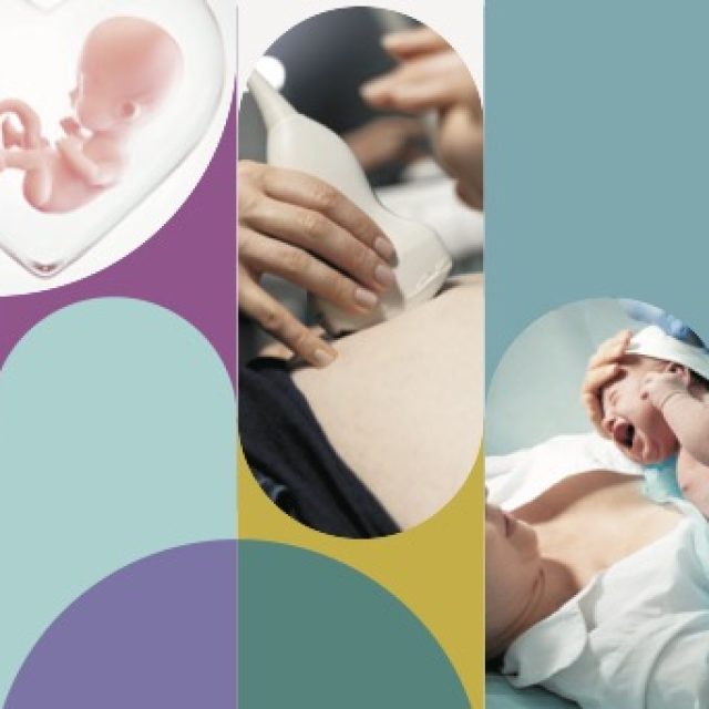 La gestione del rischio clinico in. ostetricia – 6/7 Ottobre 2023