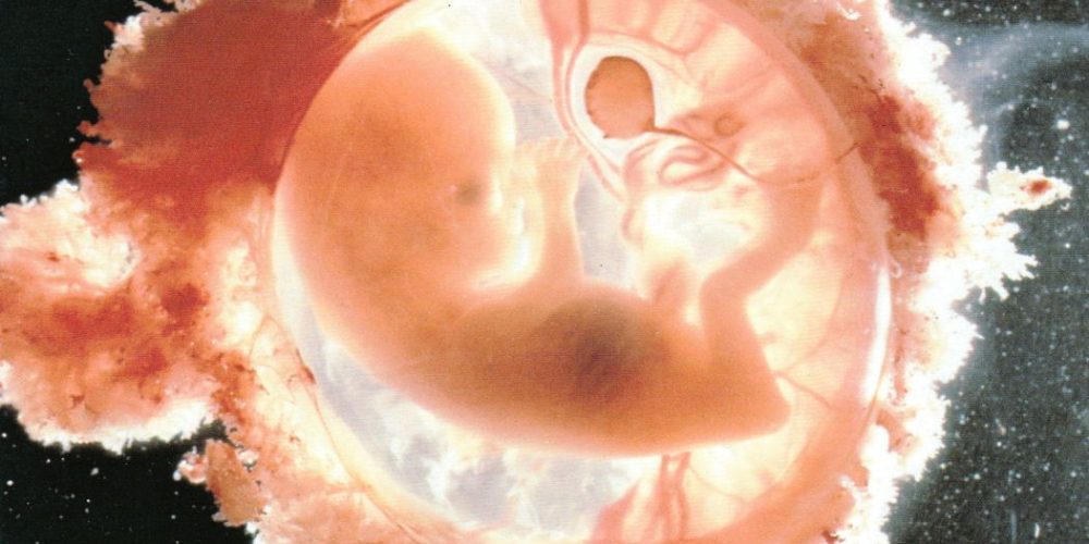 IL PARTO E LA NASCITA NELL’ATTUALE CONTESTO SCIENTIFICO