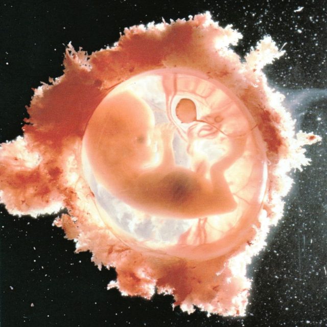 IL PARTO E LA NASCITA NELL’ATTUALE CONTESTO SCIENTIFICO